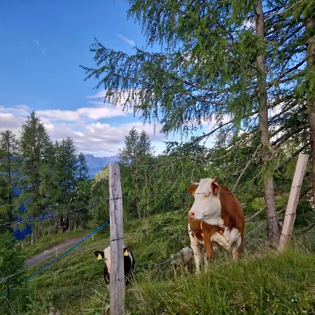 Almgasthaus Glocknerblick イン