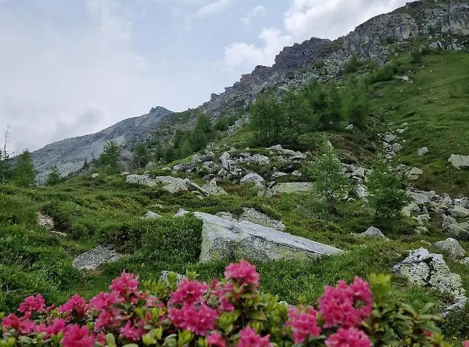 Almgasthaus Glocknerblick Zajazd Großkirchheim