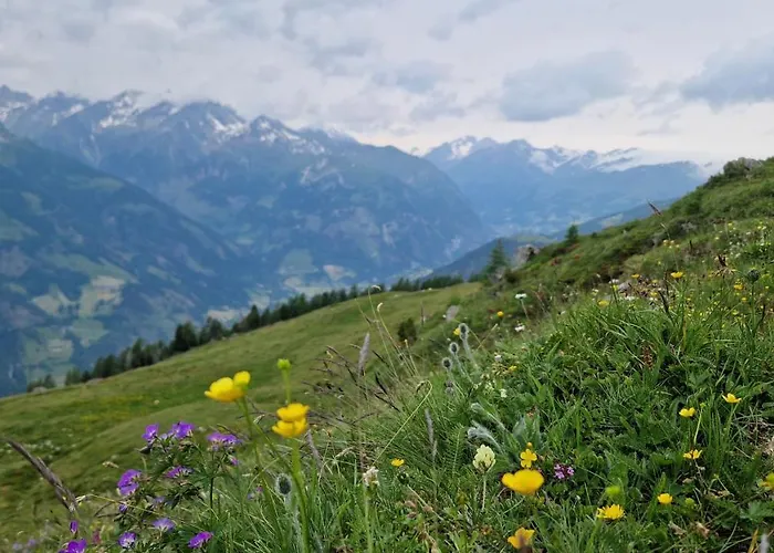 Almgasthaus Glocknerblick Zajazd Großkirchheim