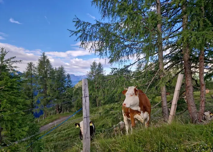 Almgasthaus Glocknerblick Zajazd