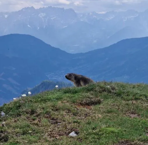 Almgasthaus Glocknerblick Großkirchheim